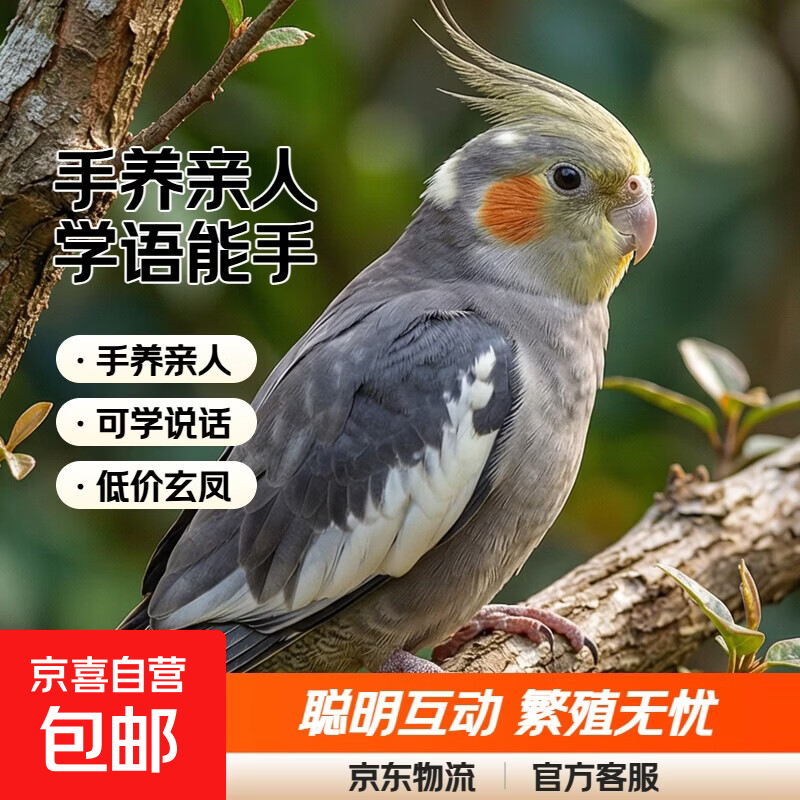 ������������ƻ���ѧ˵���ɷ�ֳ�������̳���ͼ������� �������˶�������-ԭʼ�� 180Ԫ