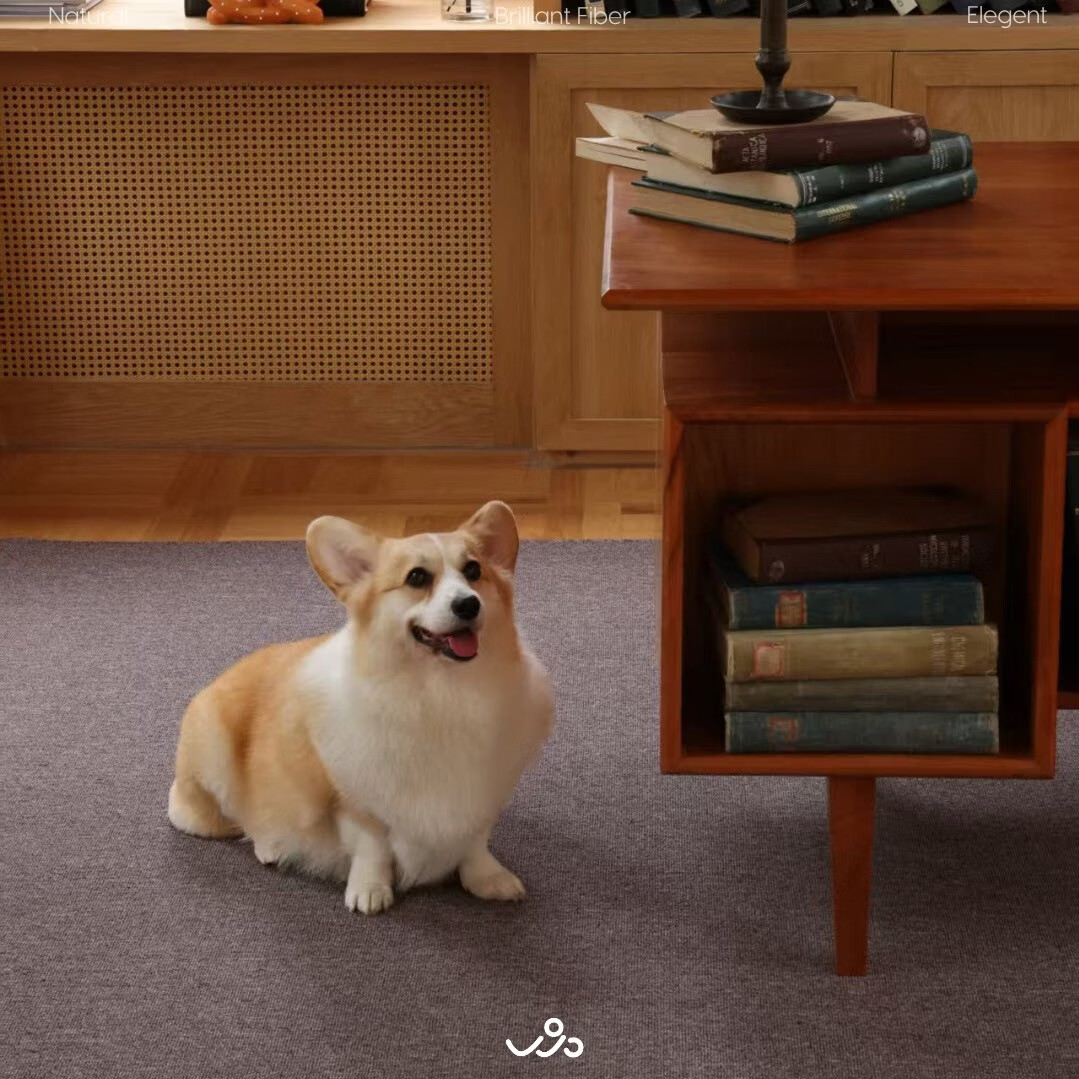 WOOCARPT巴克旅店短绒可水洗客厅无胶防水地毯高级奶油风沙发卧室宠物地毯 蓝绿色【防水款-耐猫抓】 140*200cm【推荐1.8-2米沙发】