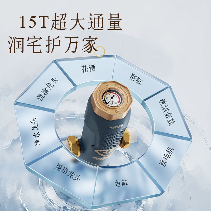 WISESKY韦思卡尔净宝瓶定制款反重力前置过滤器10T/H大流量家用反冲洗WSP-85-86T 【自己安装】净宝瓶-东方美学-黛青色