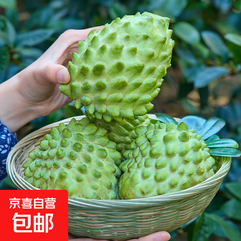 京喜加当季凤梨释迦果佛头果新鲜番荔枝释迦应季水果 0.5~0.8斤1~2个