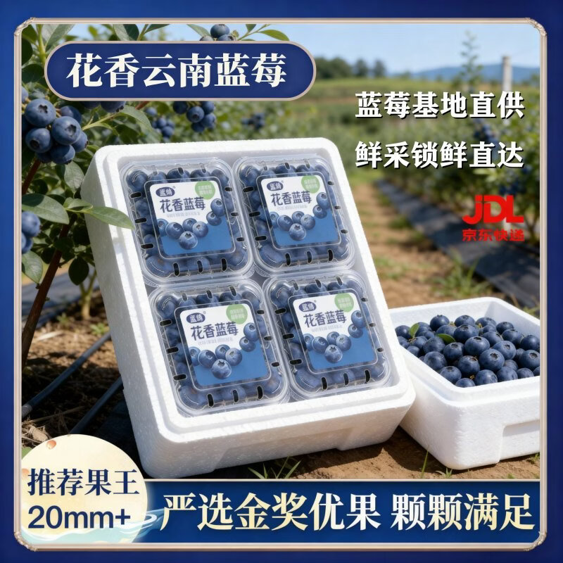 ���ڲ��������� ���ϸ�ɽ��ݮ 6�о�ѡװ ����20mm+ 125g/�о�100g ������ͨװ 48.9Ԫ