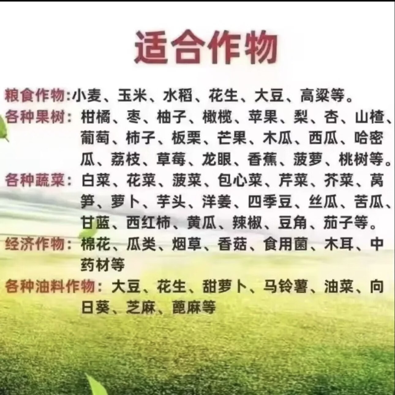 俄罗斯进口50斤复合肥化肥有机肥硫酸钾肥蔬菜肥花肥料果树肥001 50kg【氮磷钾】高效吸收