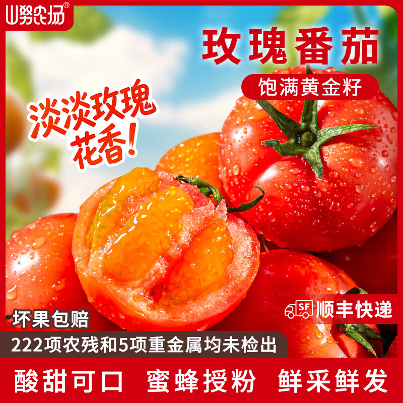 山努农场玫瑰番茄水果自然熟草莓西红柿多汁新鲜小柿子 玫瑰番茄大果 单颗70g+ 4斤