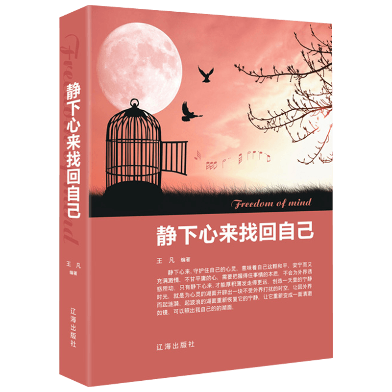 静下心来找回自己 心灵鸡汤书籍 青春励志心态书籍