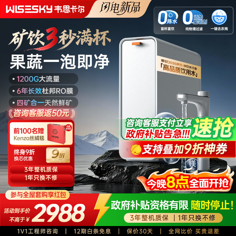 WISESKY韦思卡尔家用净水器D1双出水净矿1200G杜邦陶氏RO膜0阻垢剂破晓银