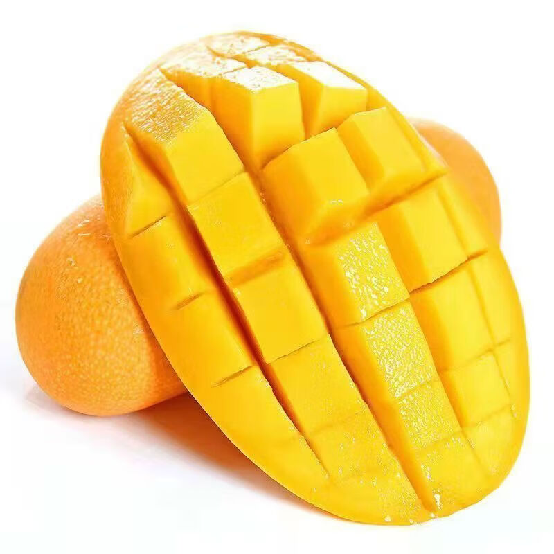 ����㺣�Ͻ��â����â�� �����ɫ����� 2�ݺϷ�һ�� 2��װ ����1.5�� ����200-300�� ��ѡ���â 11Ԫ