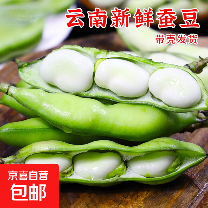 京喜加云南新鲜带壳蚕豆胡豆罗汉豆带壳现摘现发当季时令新鲜蔬菜 新鲜蚕豆带箱4斤 净重3.7斤