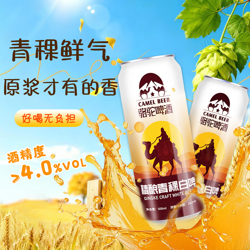 骆驼啤酒精酿啤酒500ml*12罐青稞小麦白啤酒原浆整箱批发铝罐京东快递发货 精品白啤【半箱】 500mL 6罐