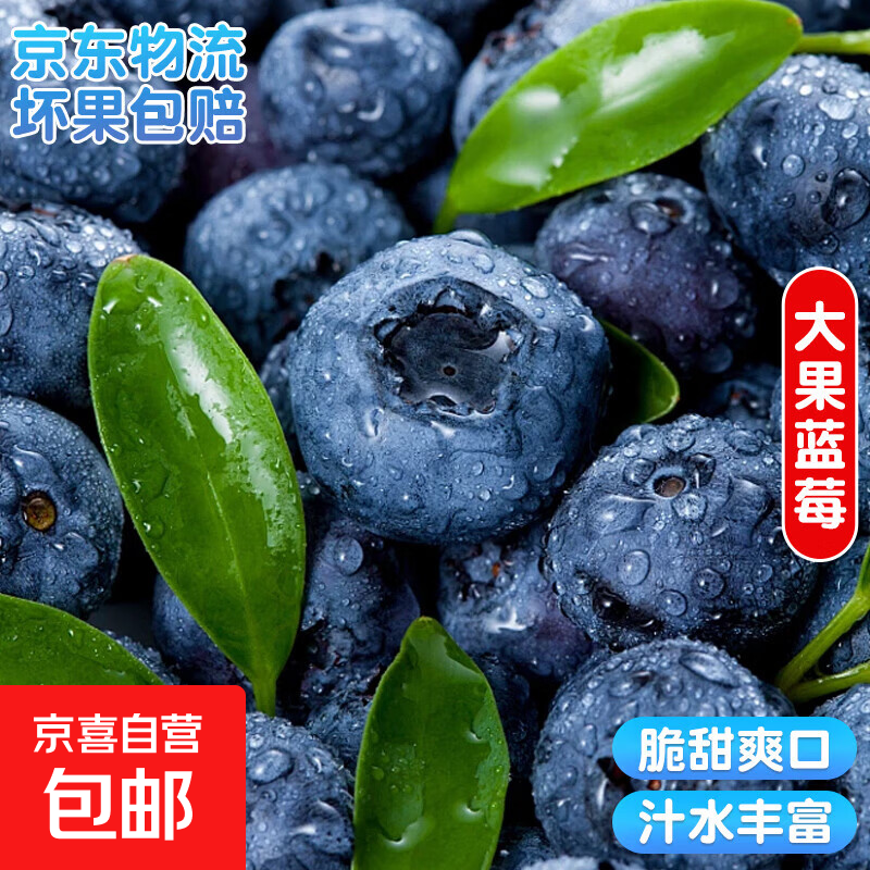 云南国产超大果蓝莓【多地次日达JD快递】精选蓝莓 孕妇新鲜水果 4盒装 多买多划算【70-90g/盒】 中果【单果15mm+】