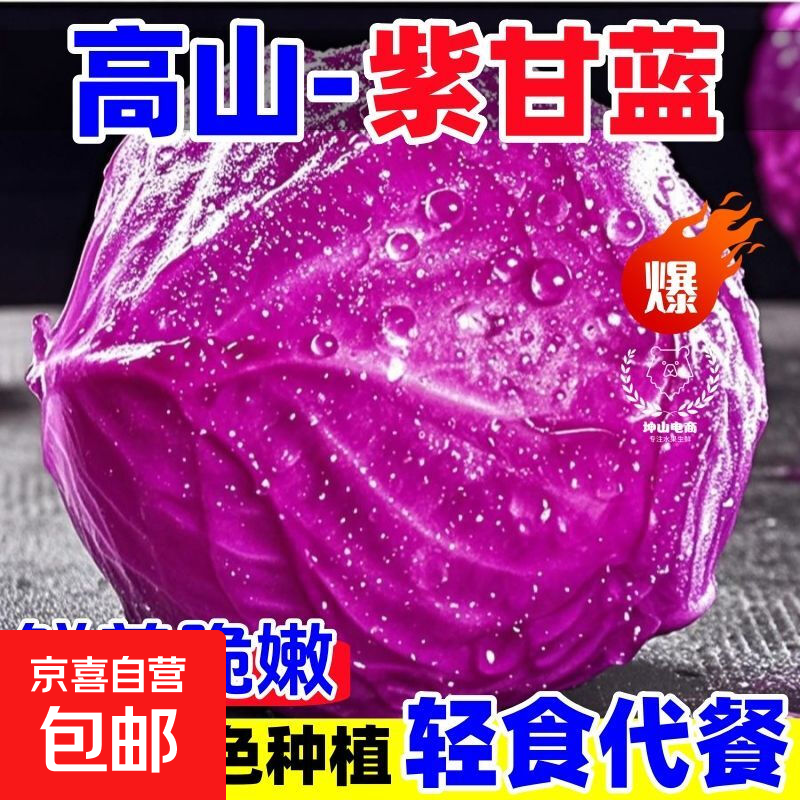 云南高山紫甘蓝3斤仅6.98元，山东沙瓤西红柿5斤11.9元