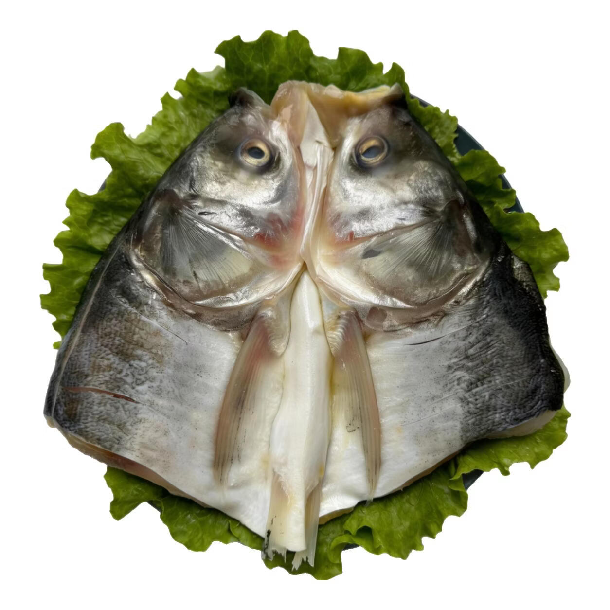 简鲜二去冷冻白鲢鱼头净重400-500克*5只 鱼头