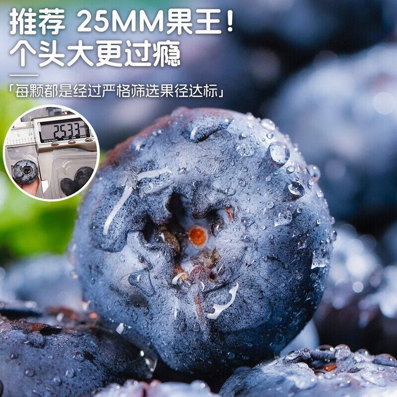 接运猫新鲜云南高山蓝莓鲜果正宗花香蓝莓果王当季现摘水果现货顺丰包邮 12盒 顺丰/JD极速达|果王【22-25mm】单盒125g|稀有少见