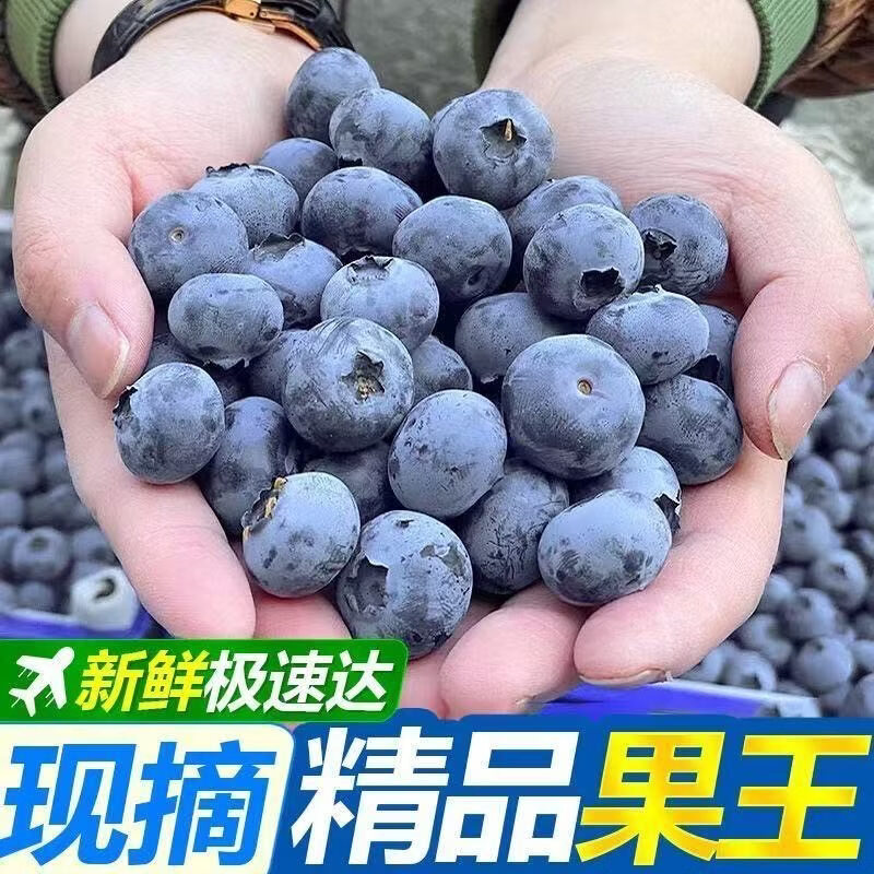 鲁韵忆乡【JD空运】爆款云南L25花香蓝莓10盒 新鲜摘当季水果玉溪露天 新鲜蓝莓100g*10盒（果经18mm+）