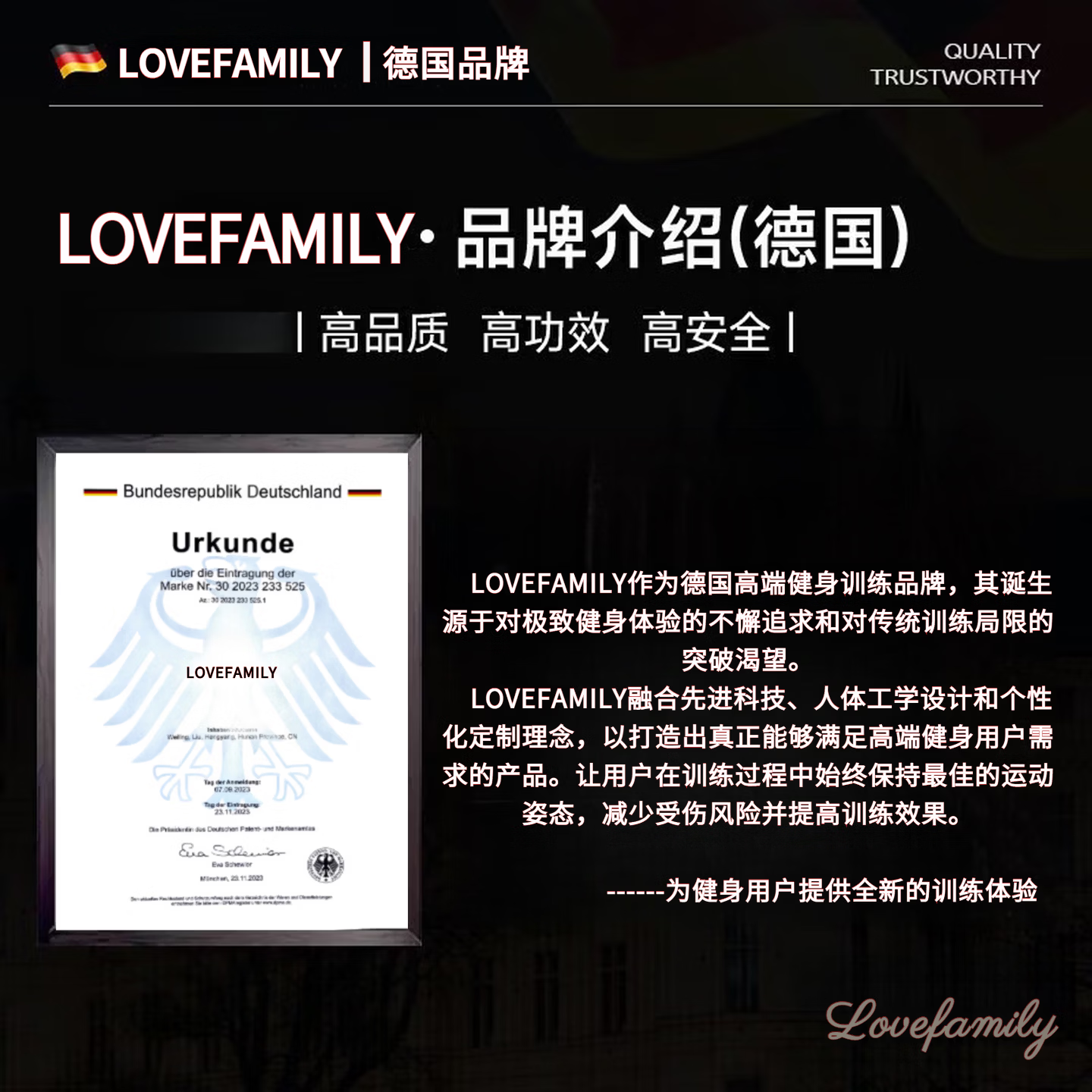 Lovefamily德国品牌单杠室内引体向上器门上家用免打孔多功能单杠吊环健身 第10代【升级防滑款】119-140+单杠助力钩