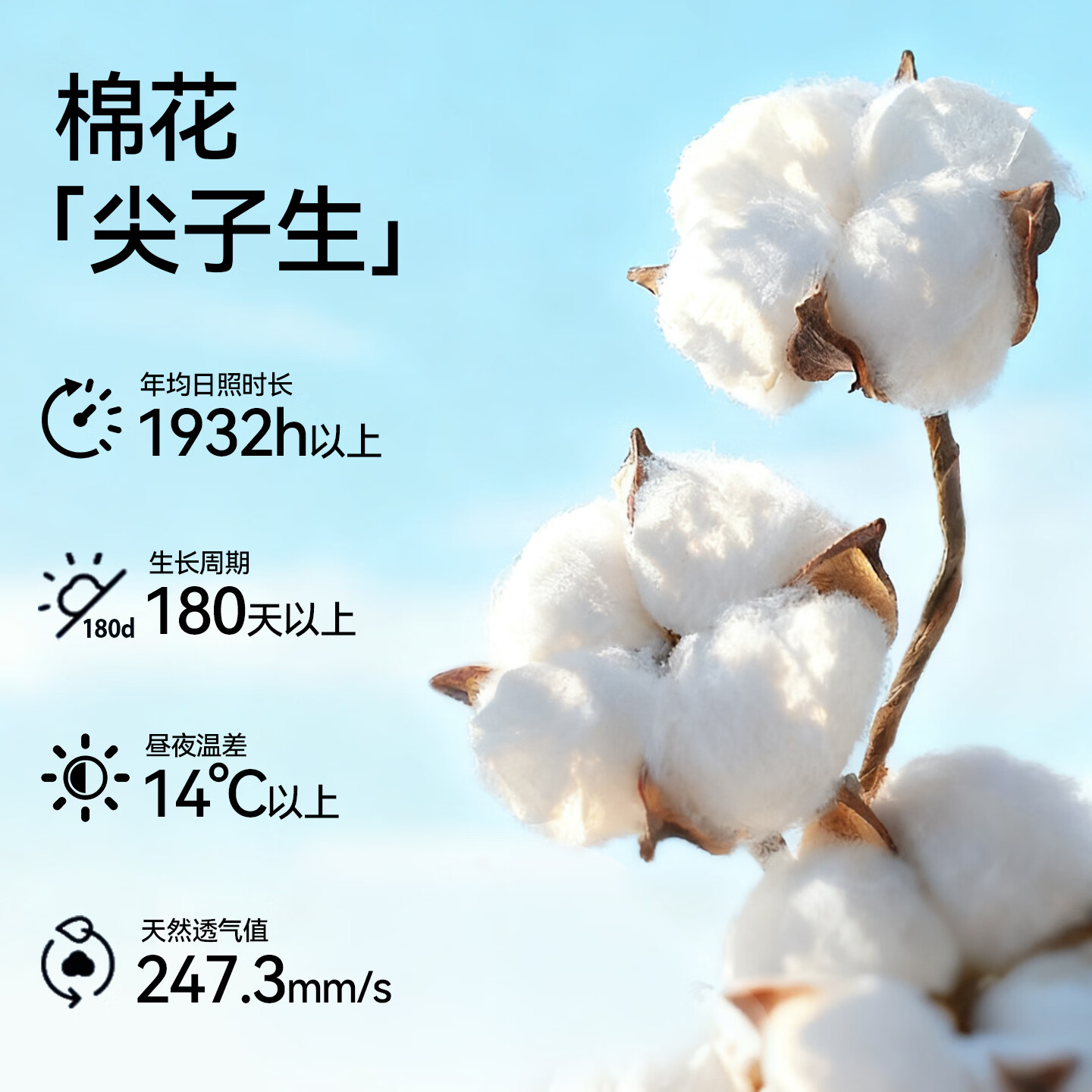 埃斯普利特(Esprit)本命年马年红色男士内裤10A抗菌男生纯棉短裤内裤袜子礼盒套装 鸿运礼盒装-B 4XL (190-210斤)