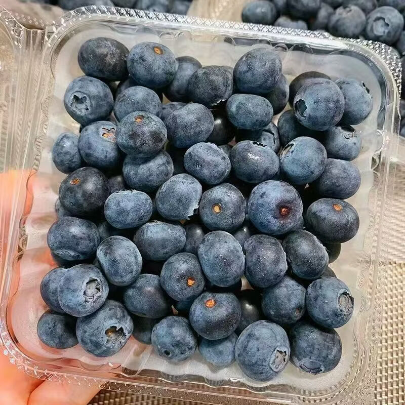 千园九味L25花香蓝莓新鲜蓝莓鲜果盒装应当季水果现摘现发京鲜大果礼盒 6盒单盒100g【单果18mm+】