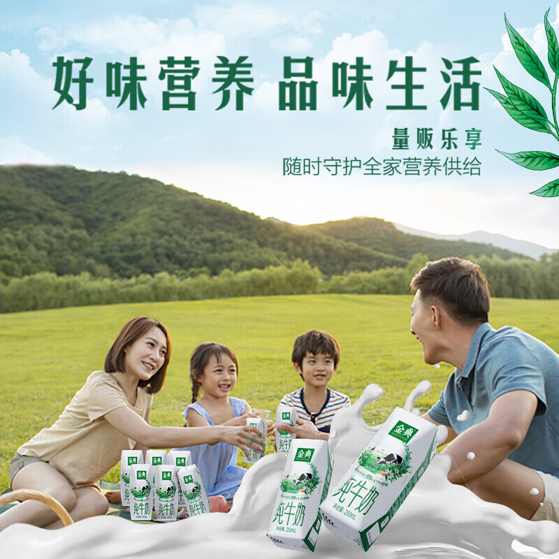 伊利金典纯牛奶系列 优质乳蛋白 100%生牛乳 多种规格可选 礼盒装 【镇店爆款】纯牛奶250ml*16盒*2箱 6月产