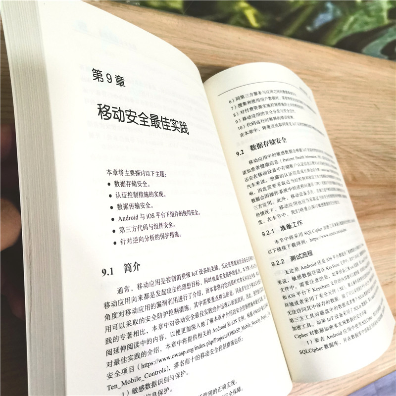 物联网渗透测试详情图
