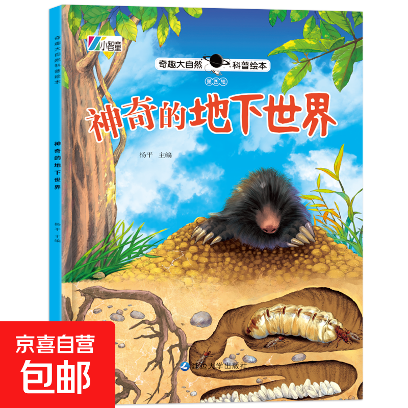 奇趣大自然科普绘本 全4辑 幼儿科普知识童书百科 第四辑：神奇的地下世界