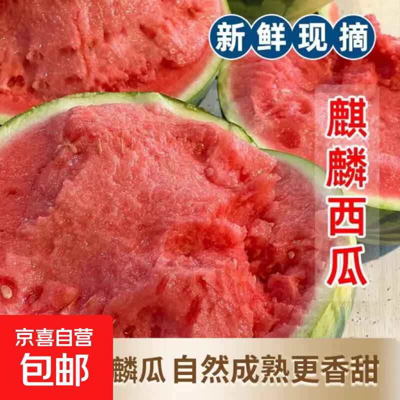 26年正宗海南麒麟无籽西瓜新鲜现摘冰糖薄皮西瓜应季脆甜可口水果 6-8斤装