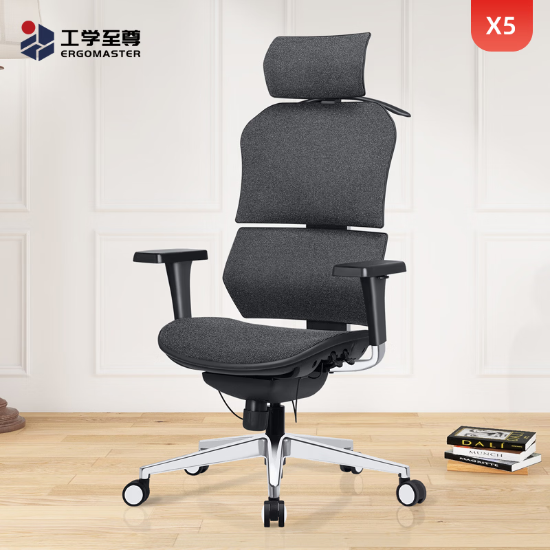 工学至尊X5可调式骶位支撑人体工学椅家用电脑椅办公椅子电竞享耀家出品 定制物流 - 联系客服 有脚托