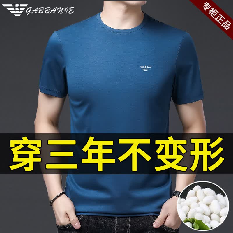GABBANIE意大利正品高端桑蚕丝男士短袖t恤夏季纯色圆领名牌半袖体 国际一线品牌白色-V领 XL 175_【建议135-150斤】