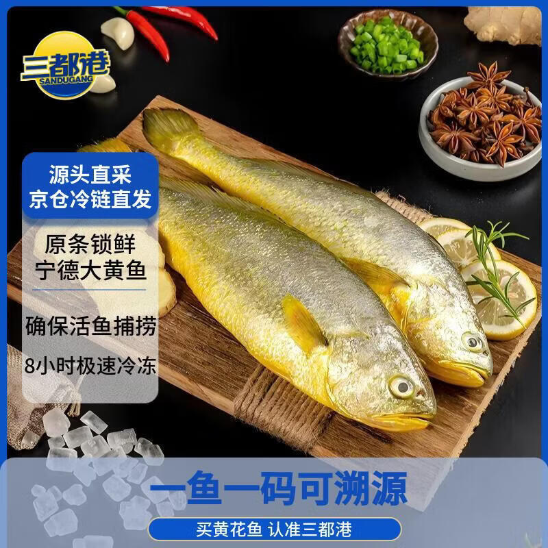 三都港 冷冻黄花鱼600g/2条装 宁德大黄鱼 深海鱼 生鲜 鱼类 海鲜水产