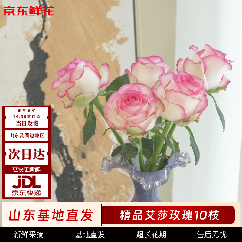 �����ʻ�����ɯ��õ�廨10֦����������л�ˮ���廨���������Դͷֱ�� 23.9Ԫ