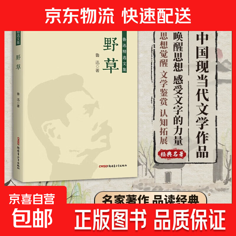【专享价】鲁迅精选文集（全10册）野草热风呐喊两地书华盖集花边文学故事新编彷徨朝花夕拾阿Q正传中小学生课外阅读 野草