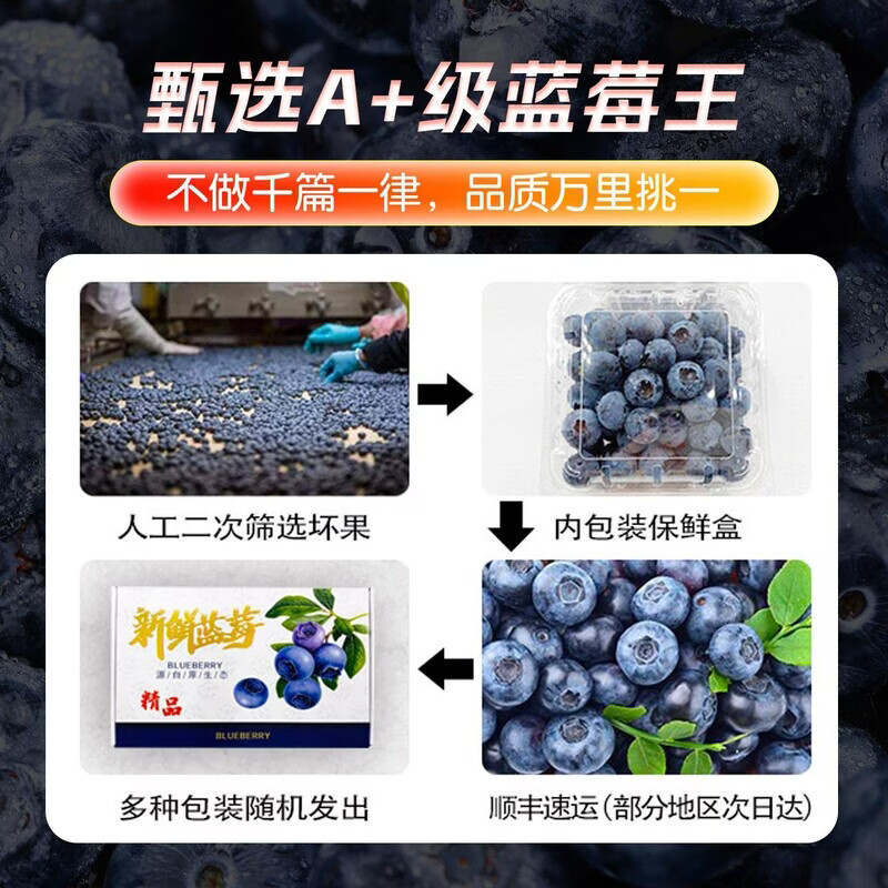 接运猫蓝莓鲜果新鲜应当季高端水果云南蓝梅现摘特大果孕妇水果整箱顺丰 12盒 【125g/盒】 【果王】单果22mm+ 顺丰包邮颗颗甄选