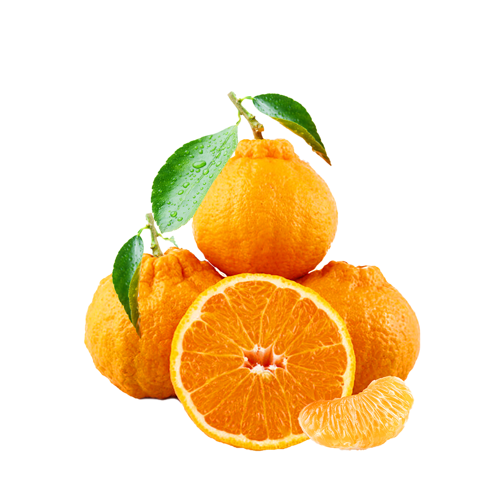  京鲜生 四川不知火丑橘 5斤装 单果200g起 生鲜水果礼盒