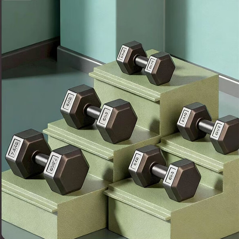 健身哑铃男士家用器材女士儿童学生六角包胶亚铃2.5/5/7.5/10公斤 单只10kg