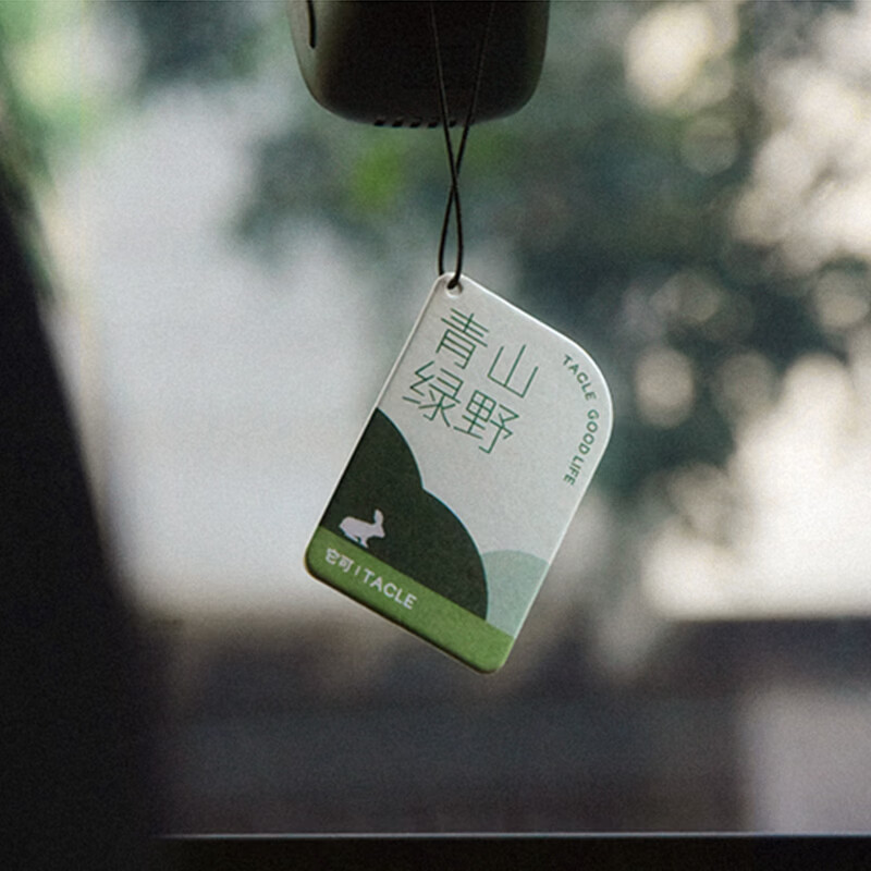 TACLE它可车载香片持久留香车载香薰片汽车香片挂件车内挂饰衣柜香氛片 男士推荐香4片