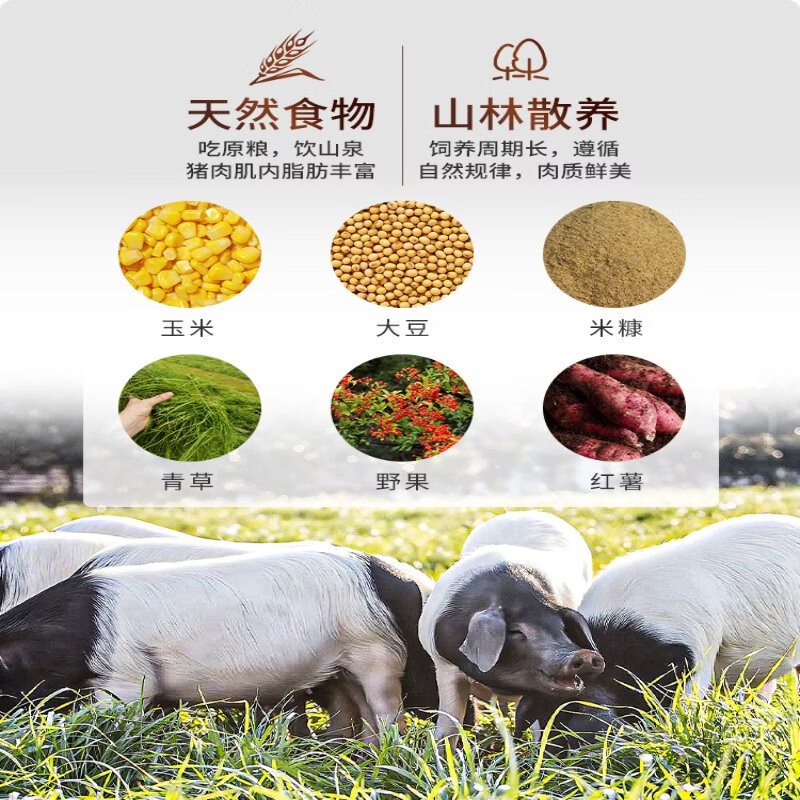 嘉平月两头乌跑山猪新鲜黑猪肉生鲜农家散养土猪里脊前后腿肉包饺子肉馅 肉馅2000g【包子饺子专用】