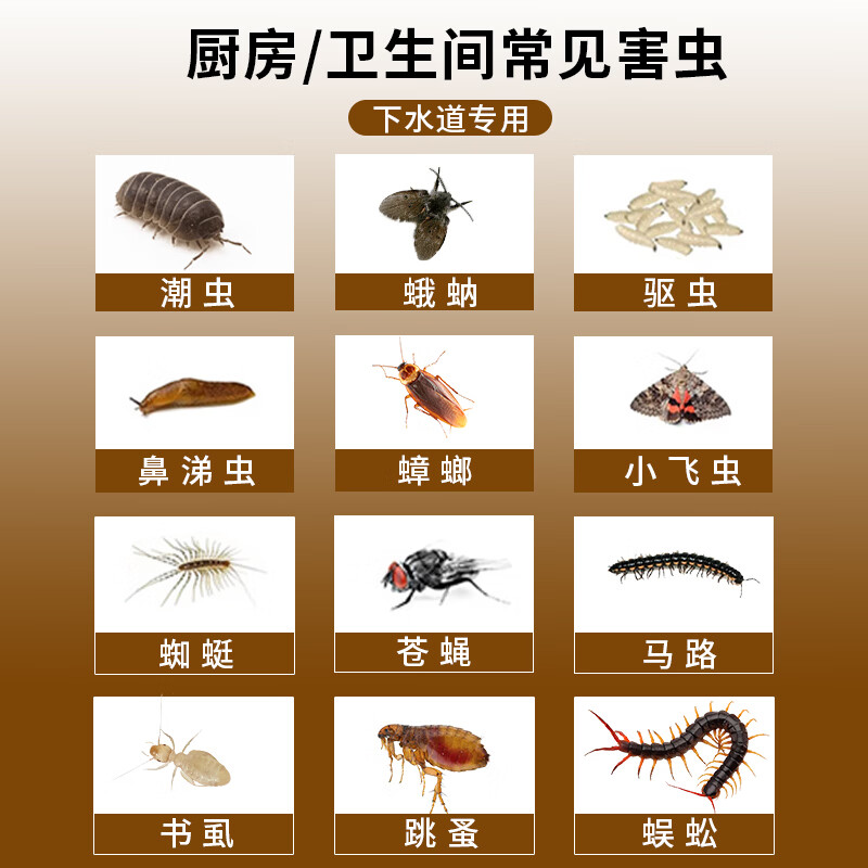 优士蔬菜杀虫剂非无毒菜园专用喷雾辣椒瓜果蔬除蚜虫杀虫剂农药大全 500ml*2瓶