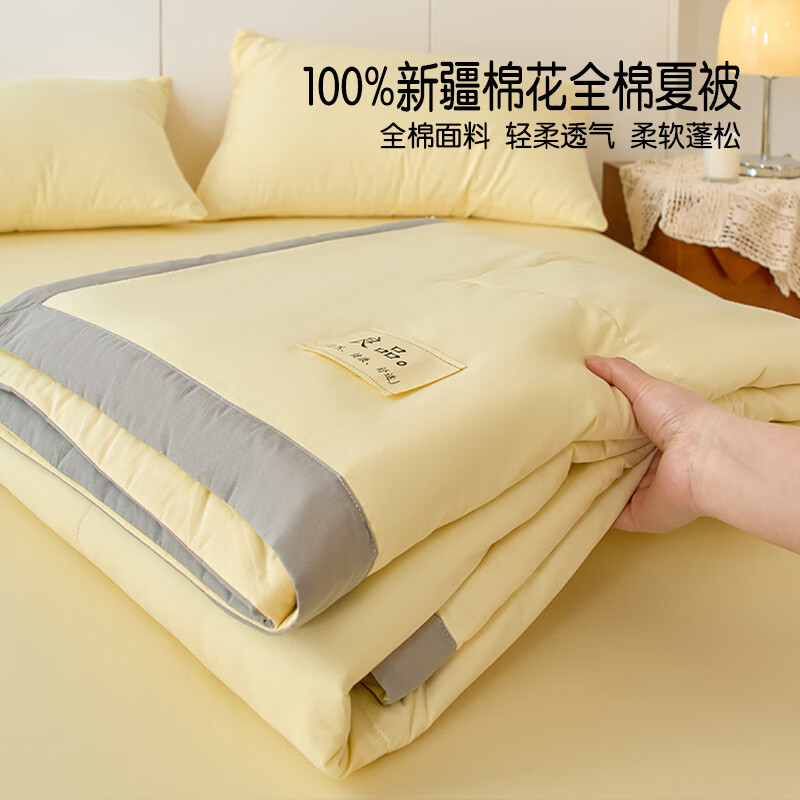 VJE里外全棉夏季新疆棉花夏被100纯棉可机洗夏凉被学生宿舍单人被芯 简-浅米 150cm*200cm单夏被