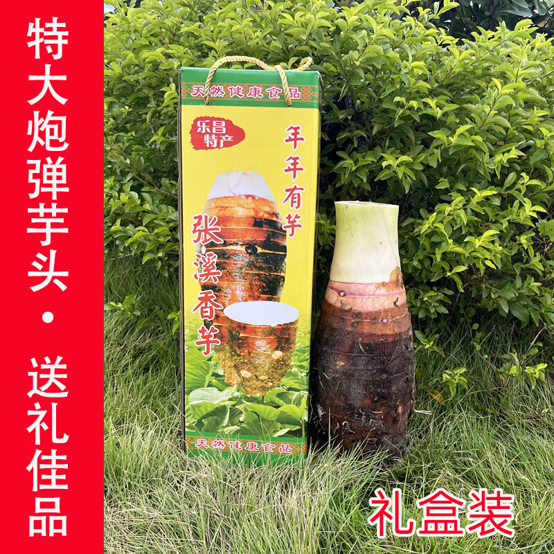 礼盒装正宗乐昌张溪炮弹芋头大槟榔芋新鲜蔬菜粉糯香广东韶关特产 10斤-家庭特惠装 普通盒装 2-4个芋头