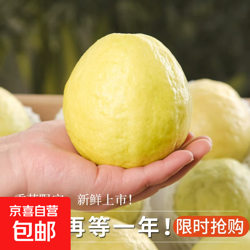 奶油白心红心芭乐 新鲜软糯低卡低热量轻食首先水果 广东5斤带箱（白心）净重4.5斤单果100g起