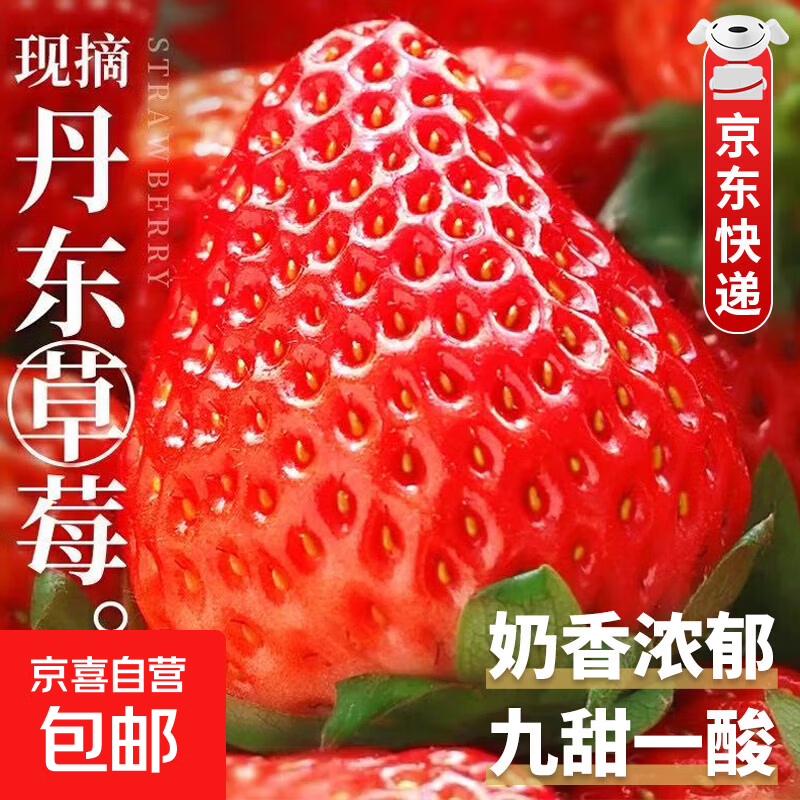 丹东99草莓【JD快递-多地】红颜奶油草莓当季新鲜送礼品物1 分享2斤装丨净重1.6斤 精选果丨单果20-30g