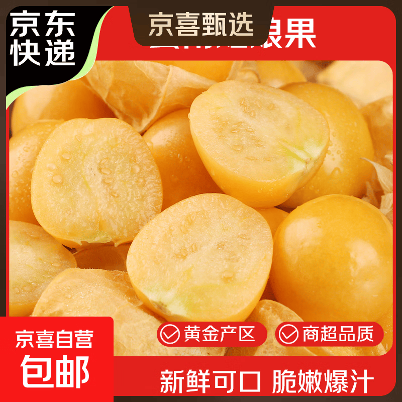 京喜加东北菇娘果辽宁灯笼果姑娘果当季水果酸甜可口产地直发单果3g+ 带箱2斤净重1.7-1.8斤【强烈推荐】