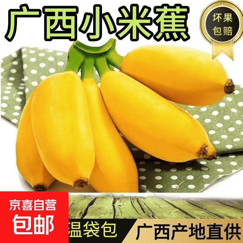 新鲜香甜软糯香蕉水果生鲜小米蕉特产现采现发有益健康美味好吃 小米蕉带箱2斤