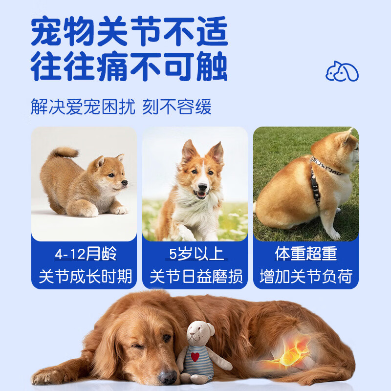 狗狗宠物鲨鱼软骨素片 宠物营养补充剂猫咪狗狗通用鲨鱼软骨素片 200片 60g*1瓶 每片0.3克