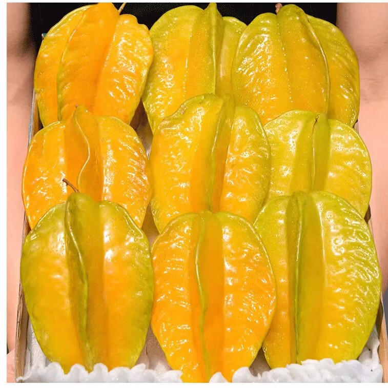 CLCEY�������� ��������֭���Ǹ�άC������������ժ�ַ� ��Ʒ���� 5��װ  ����4.6�� ����200g+ 31.9Ԫ