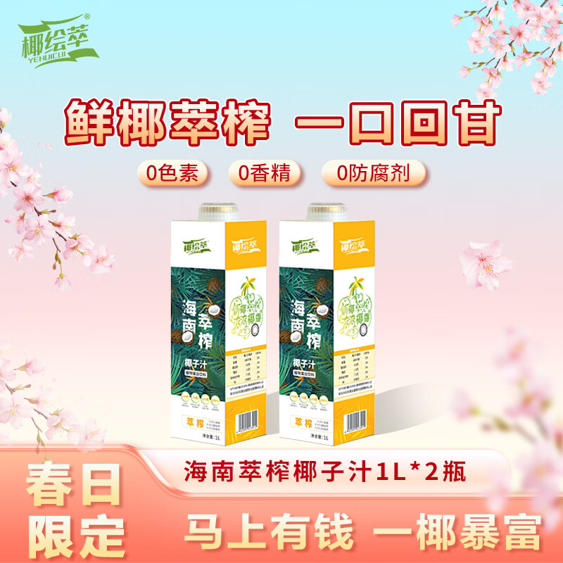 椰绘萃海南萃榨椰子汁1L *2鲜椰萃榨 植物蛋白饮料正宗海南特产大瓶