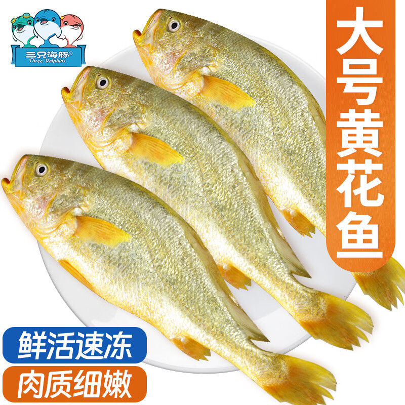 三只海豚冷冻黄花鱼900g/3条装 宁德大黄鱼 新鲜深海鱼 生鲜鱼类 海鲜水产