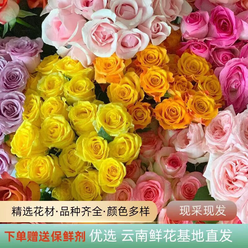 【方德玫瑰】云南鲜花基地直发玫瑰花鲜切生日礼物母亲节 随机玫瑰20支