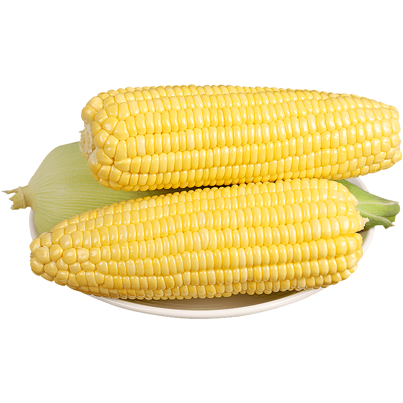 言片光云南水果玉米甜玉米新鲜采摘生玉米带壳玉米黄玉米 净重4.5斤+ 【单色水果玉米】