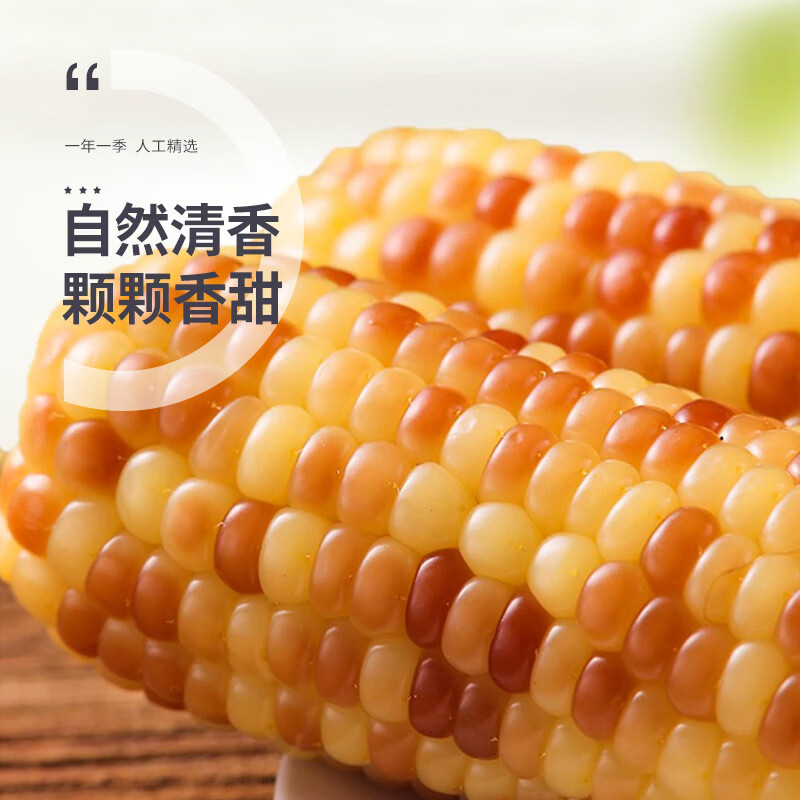 珍谷诱惑25年东北糯玉米新玉米黄糯玉米棒早餐玉米粗粮代餐零食 花糯玉米10支 2.4kg