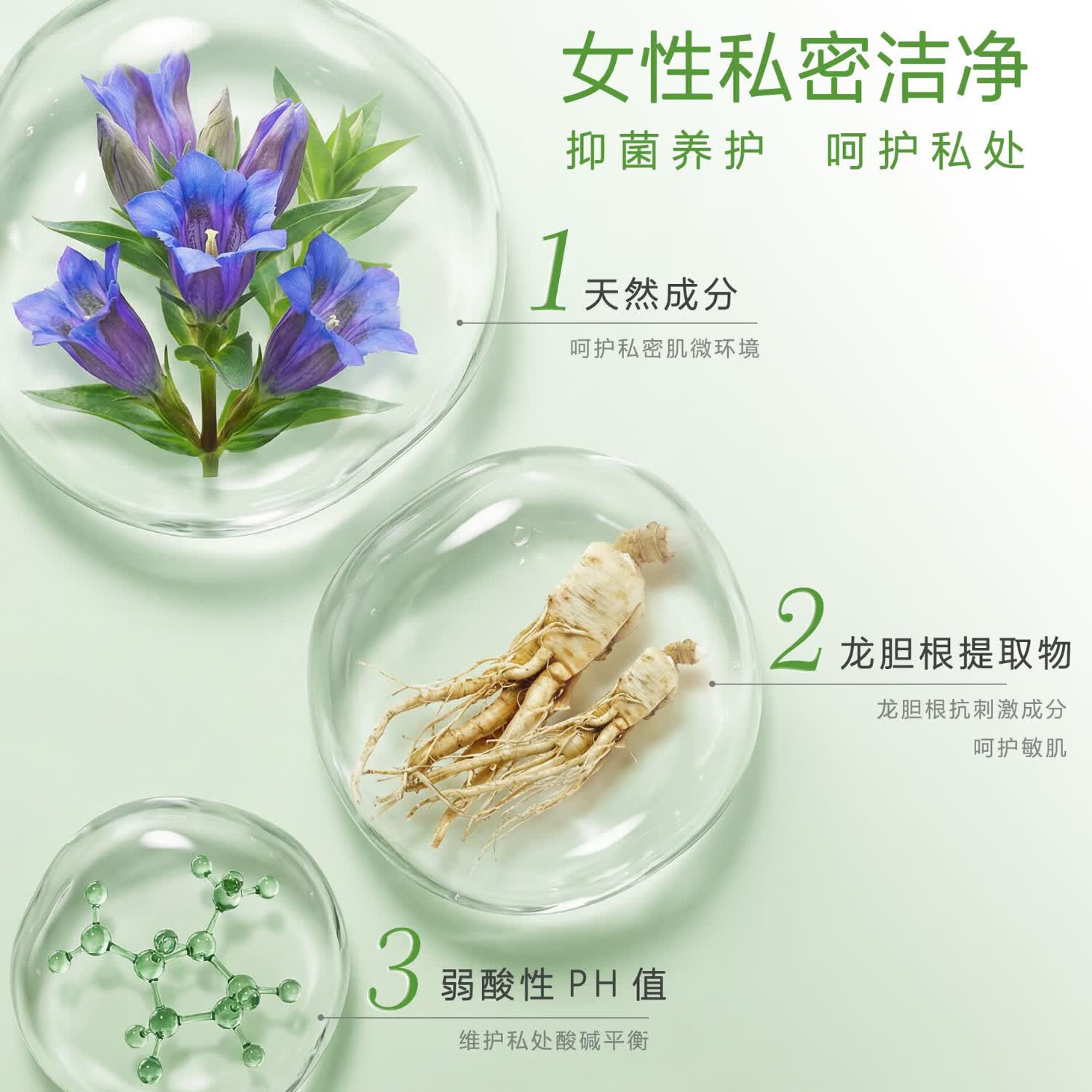 ABC私处洗液私密护理卫生护理清洁液200ml(茶树精华草本抑菌 ) 220ml【日常清洁|龙胆根精华】