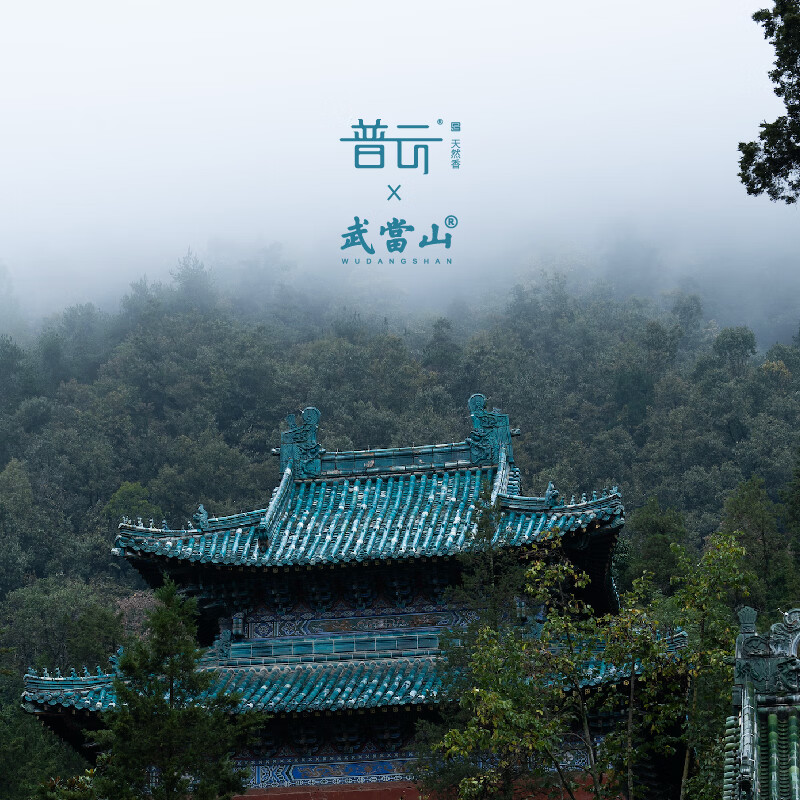 普云碌柚叶香柚子香好运线香招财香转运香薰室内持久家用净宅专用香薰 碌柚叶香-卧香50克